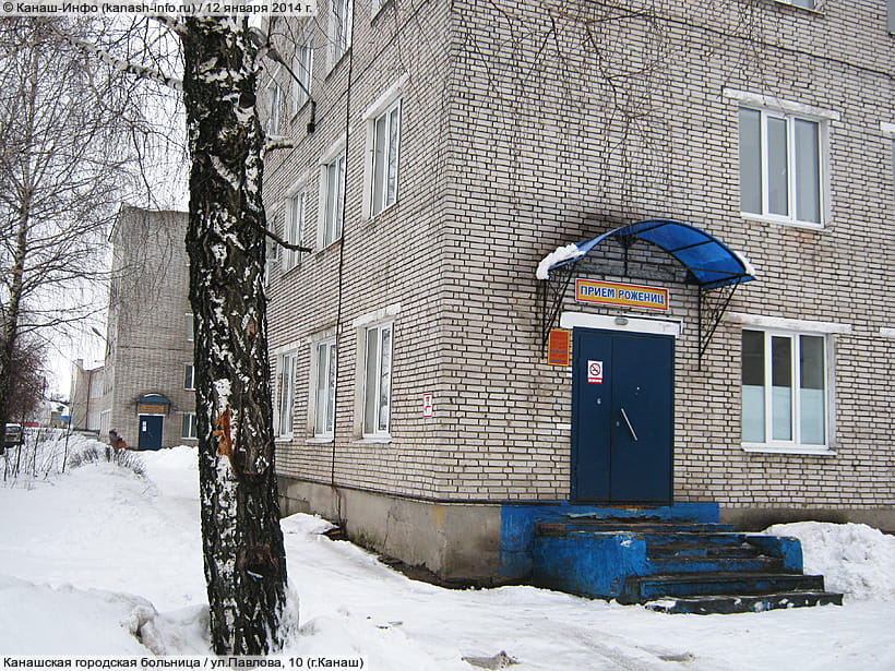 Павлова 10 Фото