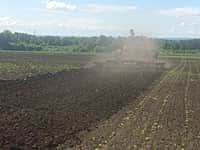 ООО «Канмаш» начал обрабатывать почву под озимые культуры (фото №1).