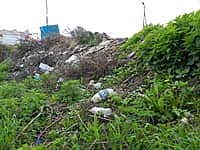 Кто превращает город в большой мусорный полигон? (фото №2).