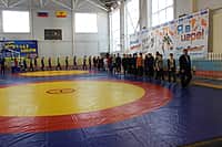 Республиканский турнир по вольной борьбе среди юношей 1999-2000 гг. р. на призы Ю.В. Андреева состоялся в городе Канаше (фото №13).