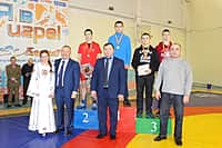Республиканский турнир по вольной борьбе среди юношей 1999-2000 гг. р. на призы Ю.В. Андреева состоялся в городе Канаше (фото №26).
