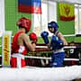 Спортивные мероприятия в рамках Декады спорта и здоровья в городе Канаш продолжились турниром по боксу «Новогодний ринг».