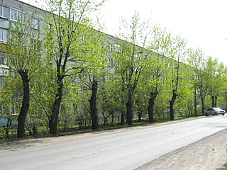 Улица Канашская (Канаш).