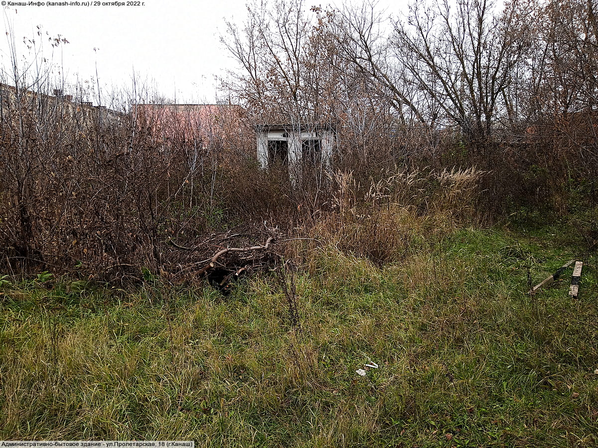 Туалет. 29 октября 2022 (сб).