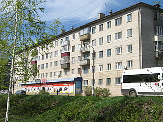 ул. Пушкина, 31 (г. Канаш) -​ многоквартирный жилой дом.