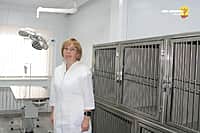 В г. Новочебоксарске открылась первая в республике современная ветеринарная клиника блочно-модульного типа.
